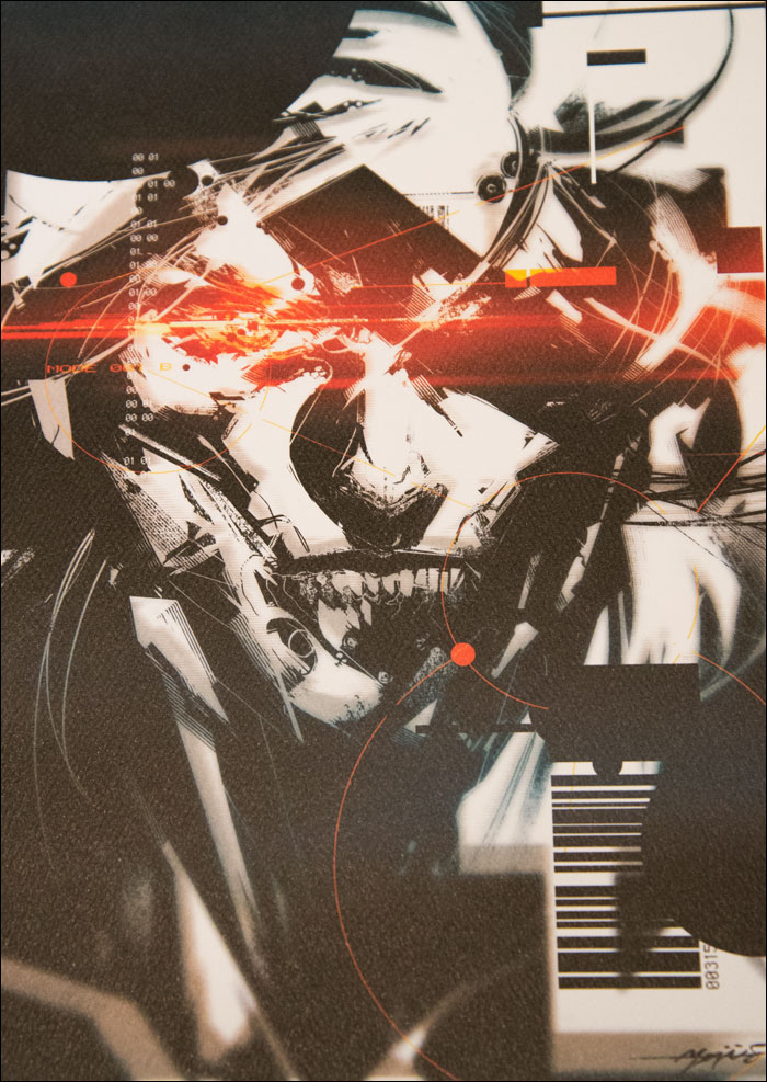 Metal-Gear-Rising-Collector's-Guide-Raiden-Art